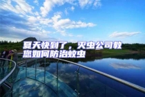 夏天快到了，滅蟲公司教您如何防治蚊蟲
