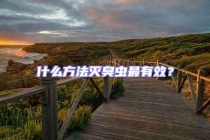 什么方法滅臭蟲(chóng)最有效？