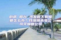廚房 陽臺 沙發(fā)底下有蟑螂怎么辦？找深圳殺蟲公司滅蟑螂公司