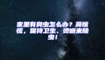 家里有臭蟲怎么辦？莫驚慌，保持衛(wèi)生、燙曬來(lái)除蟲！