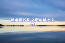 被老鼠咬傷之后應(yīng)該怎么辦
