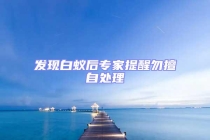 發現白蟻后專家提醒勿擅自處理