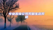 專業殺蟲公司滅鼠生態滅鼠