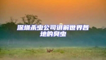深圳殺蟲(chóng)公司講解世界各地的臭蟲(chóng)