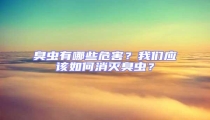 臭蟲有哪些危害?我們應該如何消滅臭蟲?