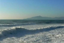 老鼠怕什么東西？怕什么味道和聲音？