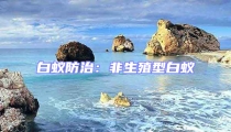 白蟻防治:非生殖型白蟻
