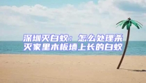 深圳滅白蟻:怎么處理殺滅家里木板墻上長的白蟻