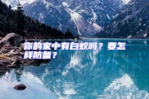 你的家中有白蟻嗎？要怎樣防備？