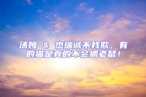 湯姆 & 杰瑞誠不我欺，有的貓是真的不會抓老鼠！
