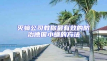 滅蟑公司教你最有效的防治德國小蠊的方法