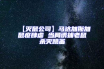 【滅鼠公司】馬達加斯加鼠疫肆虐 當局誘捕老鼠殺滅跳蚤