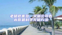 老鼠危害多,滅鼠公司告訴你最科學滅鼠方法