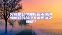 滅蟑螂公司如何在不使用蟑螂藥的前提下消滅消滅蟑螂？