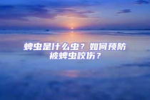 蜱蟲是什么蟲？如何預(yù)防被蜱蟲咬傷？