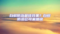 白蟻防治最佳效果?白蟻防治公司來細說