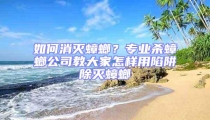 如何消滅蟑螂?專業(yè)殺蟑螂公司教大家怎樣用陷阱除滅蟑螂