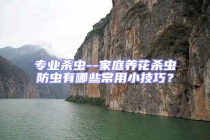 專(zhuān)業(yè)殺蟲(chóng)--家庭養(yǎng)花殺蟲(chóng)防蟲(chóng)有哪些常用小技巧？