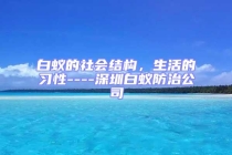 白蟻的社會(huì)結(jié)構(gòu)，生活的習(xí)性----深圳白蟻防治公司