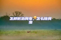 怎樣防治臭蟲，怎么除臭蟲