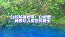 白蟻防治公司:白蟻是一種很讓人厭惡的昆蟲