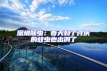 深圳除蟲：春天到了討厭的蚊蟲也出洞了