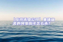 【龍崗殺蟲公司】集體宿舍的臭蟲應(yīng)該怎么殺？