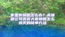 家里有蟑螂怎么辦?殺蟑螂公司告訴大家蟑螂怎么消滅的簡單方法