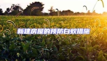 新建房屋的預防白蟻措施