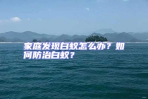 家庭發現白蟻怎么辦？如何防治白蟻？