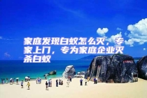 家庭發現白蟻怎么滅，專家上門，專為家庭企業滅殺白蟻