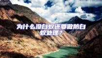 為什么沒白蟻還要做防白蟻處理?