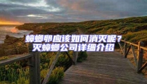 蟑螂卵應該如何消滅呢?滅蟑螂公司詳細介紹