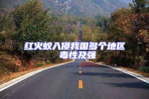 紅火蟻入侵我國多個(gè)地區(qū) 毒性及強(qiáng)