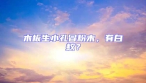 木板生小孔冒粉末，有白蟻？
