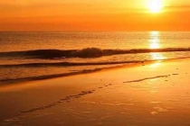 研究表明誘蚊誘卵器監(jiān)測白紋伊蚊誘卵效果顯著