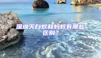 深圳滅白蟻和螞蟻有那些區別?