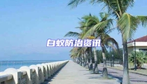 白蟻防治資訊