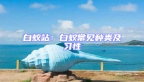 白蟻站:白蟻常見種類及習(xí)性