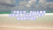 【滅鼠公司】為什么抓不住老鼠?告訴你9個關于老鼠的小知識