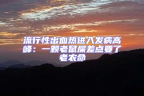 流行性出血熱進入發病高峰：一顆老鼠屎差點要了老農命