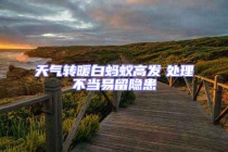 天氣轉(zhuǎn)暖白螞蟻高發(fā)　處理不當(dāng)易留隱患