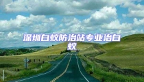 深圳白蟻防治站專業治白蟻