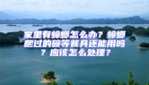 家里有蟑螂怎么辦？蟑螂爬過的碗等餐具還能用嗎？應該怎么處理？