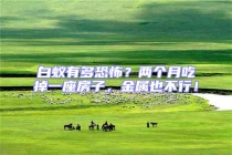 白蟻有多恐怖？兩個(gè)月吃掉一座房子，金屬也不行！