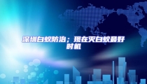 深圳白蟻防治；現(xiàn)在滅白蟻?zhàn)詈脮r(shí)機(jī)
