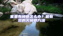 家里有蟑螂怎么辦?最有效的滅蟑螂方法
