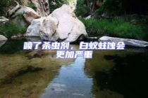 噴了殺蟲(chóng)劑，白蟻蛀蝕會(huì)更加嚴(yán)重