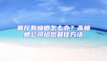 餐廳有蟑螂怎么辦?殺蟑螂公司給您最佳方法