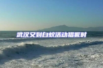 武漢又到白蟻活動(dòng)猖獗時(shí)